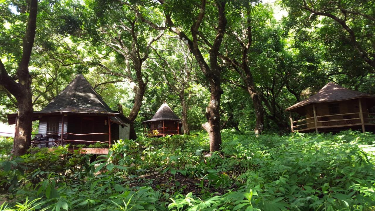 Hotel Los Mangos 蒙特苏马 外观 照片