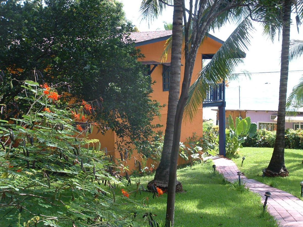 Hotel Los Mangos 蒙特苏马 外观 照片