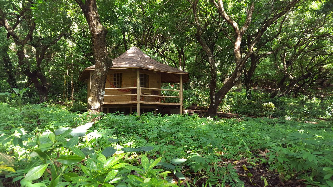 Hotel Los Mangos 蒙特苏马 外观 照片