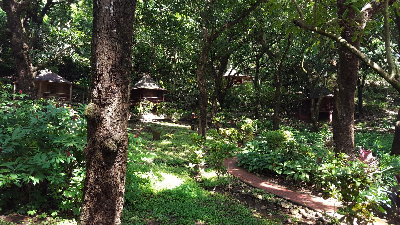 Hotel Los Mangos 蒙特苏马 外观 照片